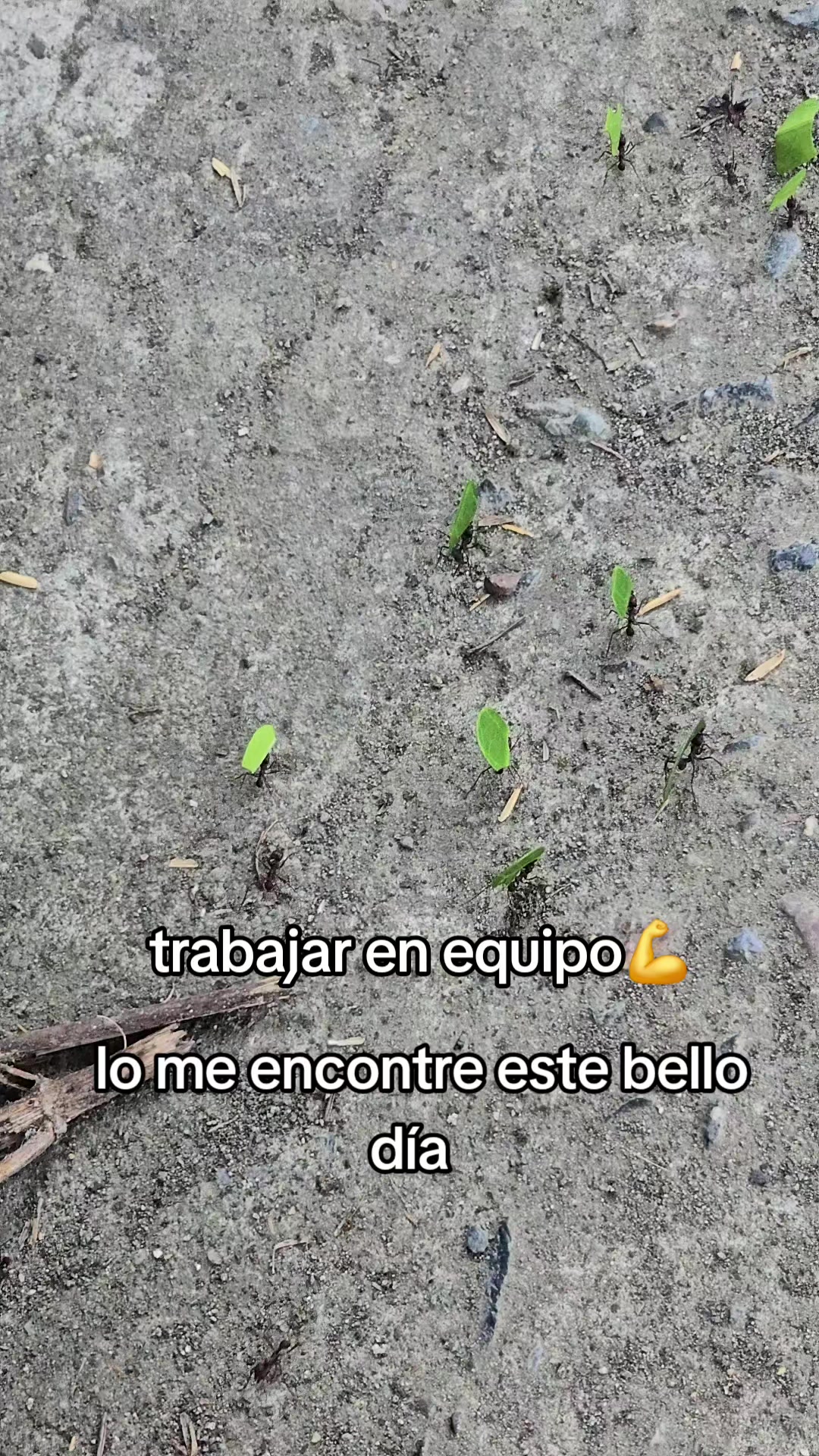 @Alex@❤