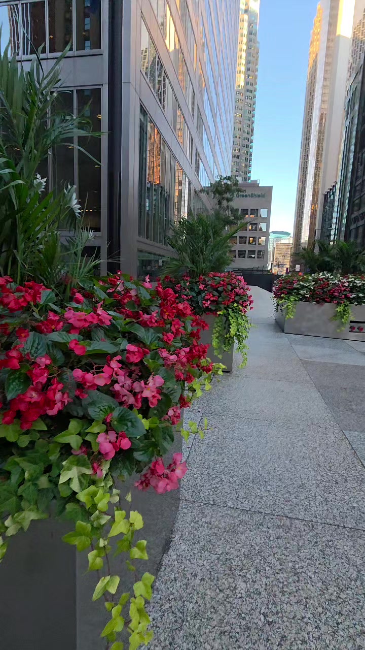 @VedatLL03-PEJA🇽🇰 🇨🇦Toronto