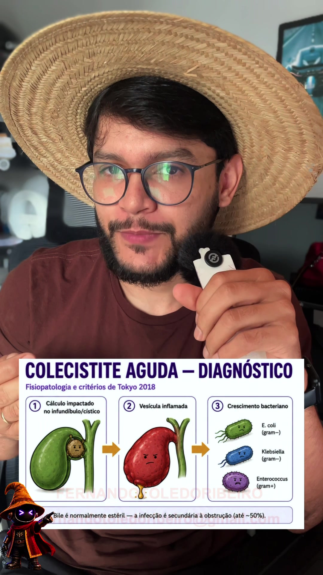 @Fernando Toledo