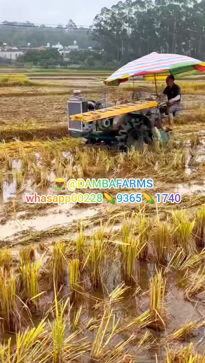 @dambafarms