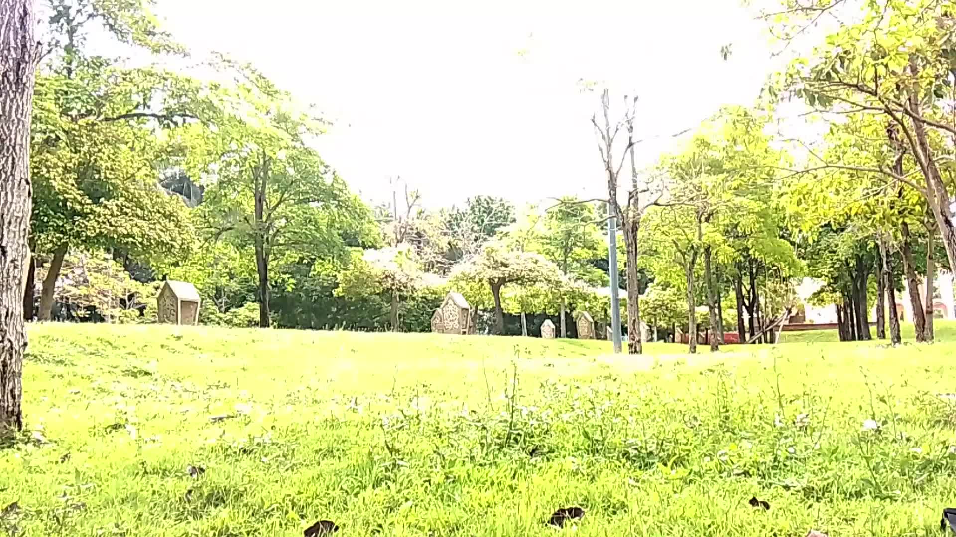 @spidermanlangkawi