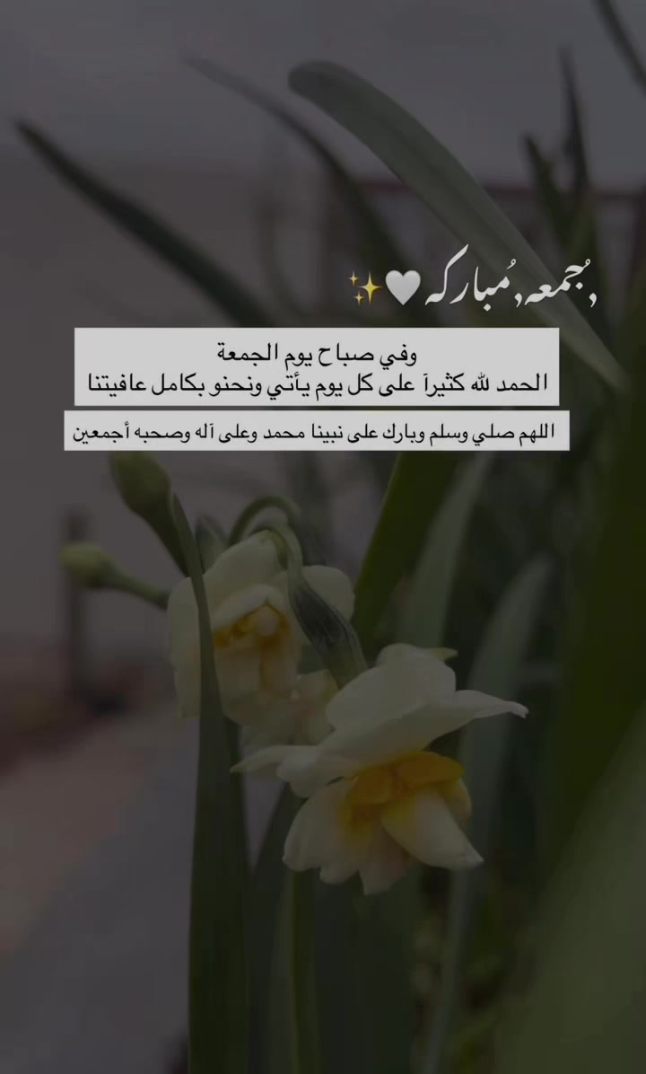 @لحظة الأمل 🫀🤍