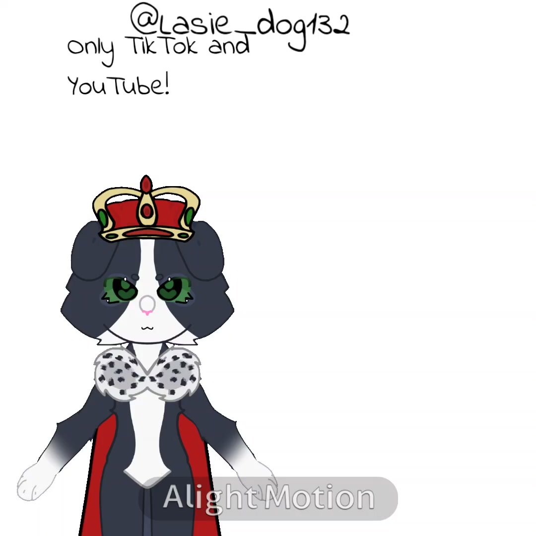 @собака Лейси👑|||🐶✅🐱✅