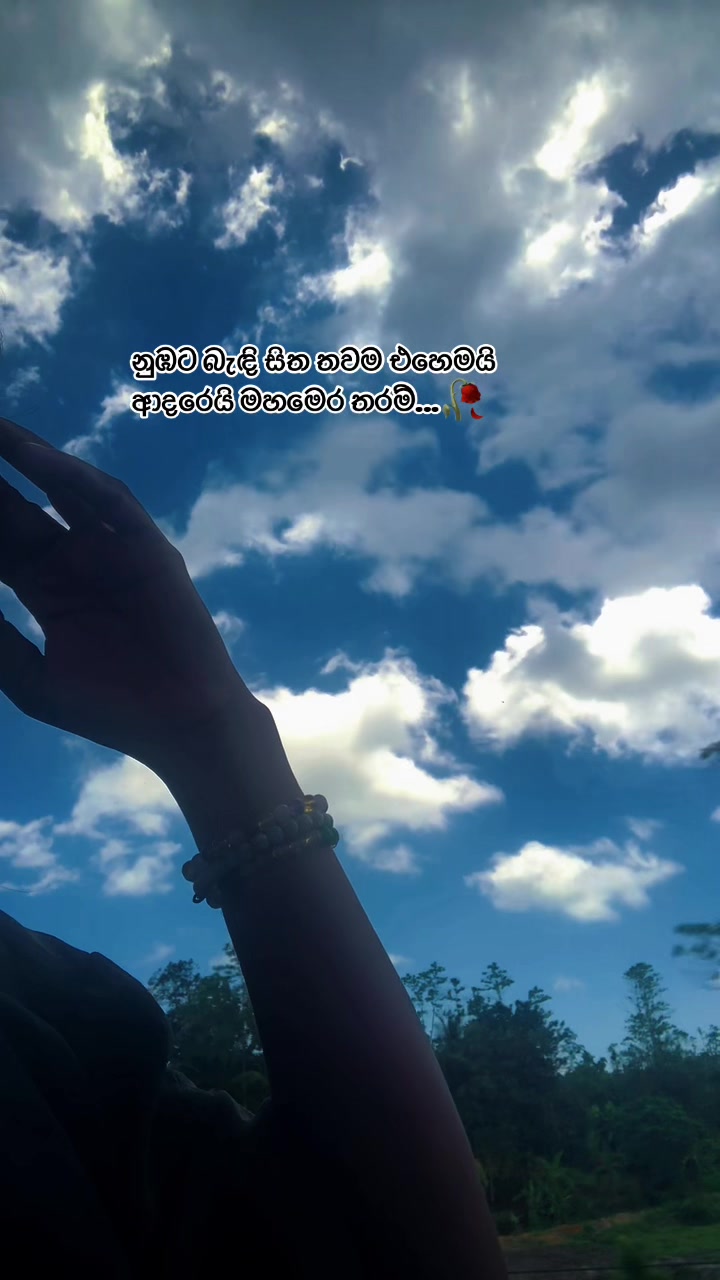 @Nethu Liyanage🌸