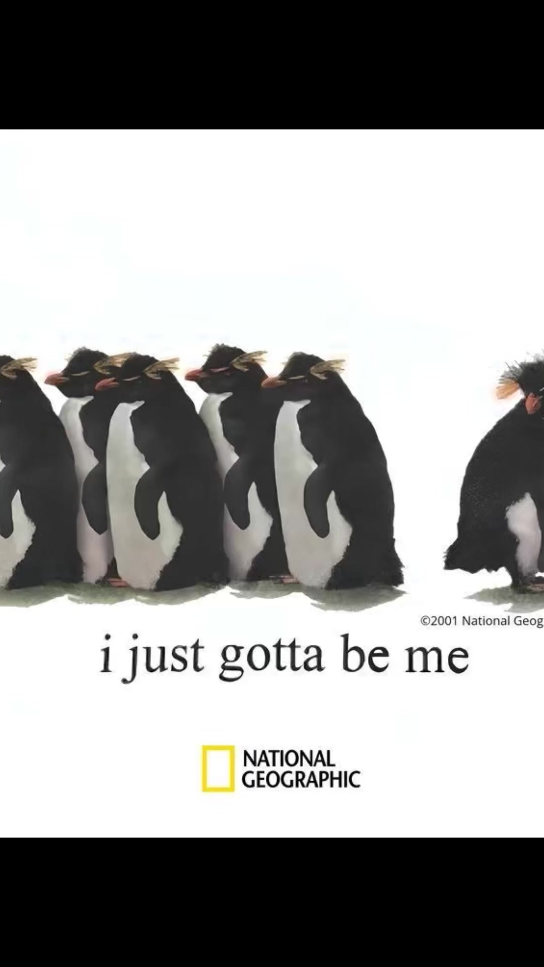 @𝓼