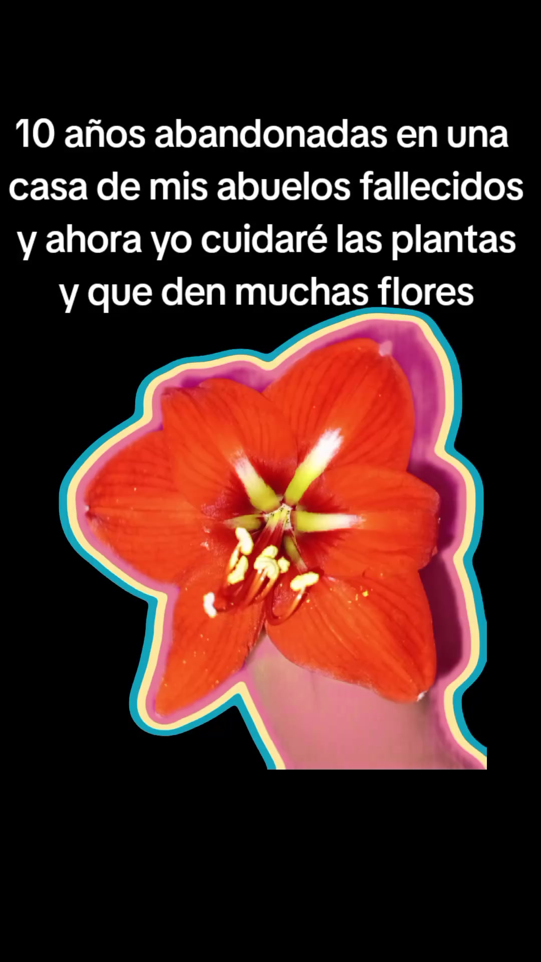 @N