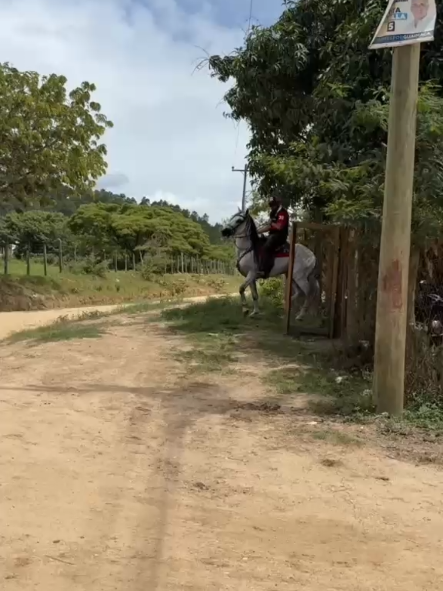 @Jose carlos sierra 😎