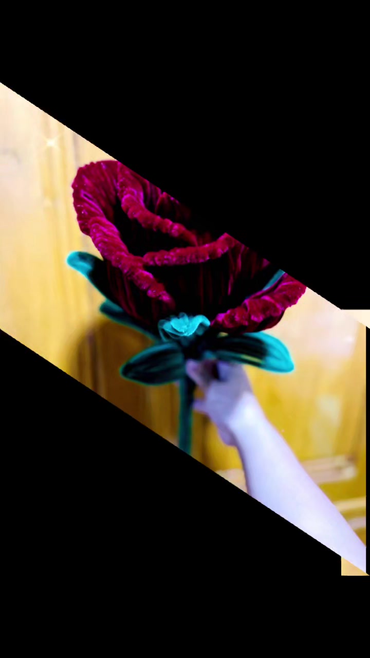 @SuNaingAung (Floral By Su)
