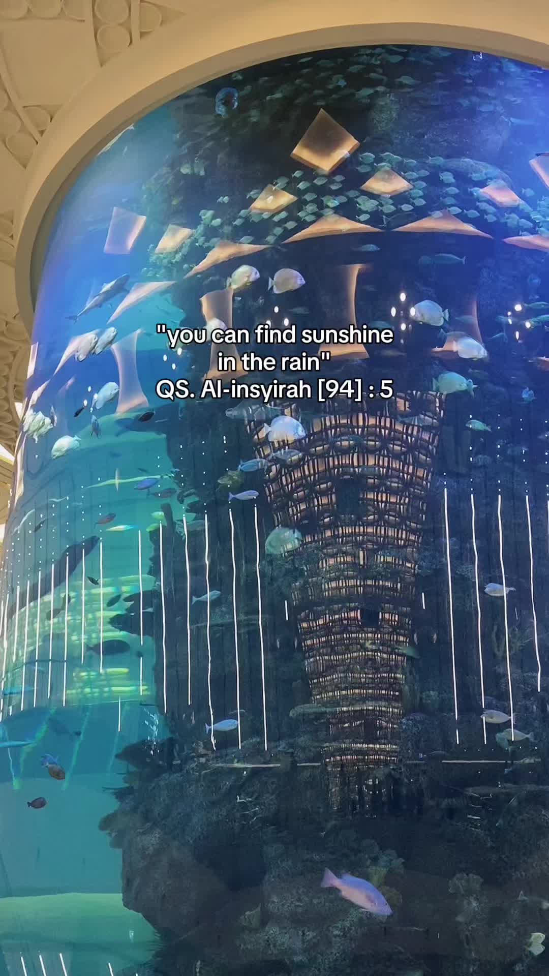 @✮⋆˙