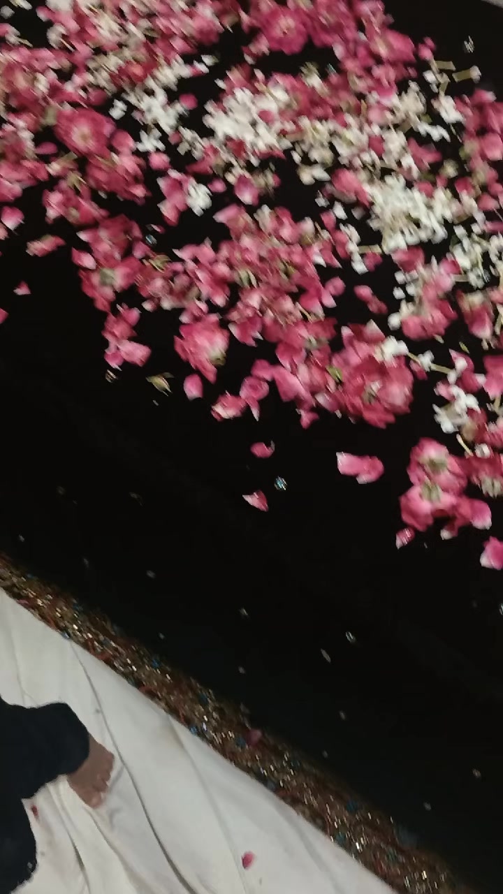 @javedraza599
