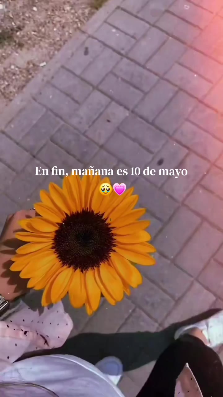 @Esthefany🦋🦊🦋