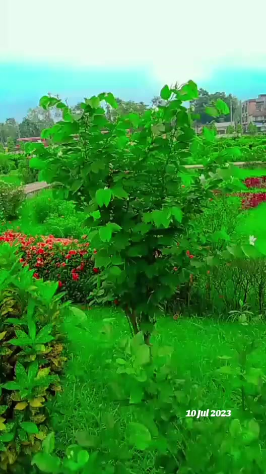 @💔🥀S নিখোঁজ S🥀💔