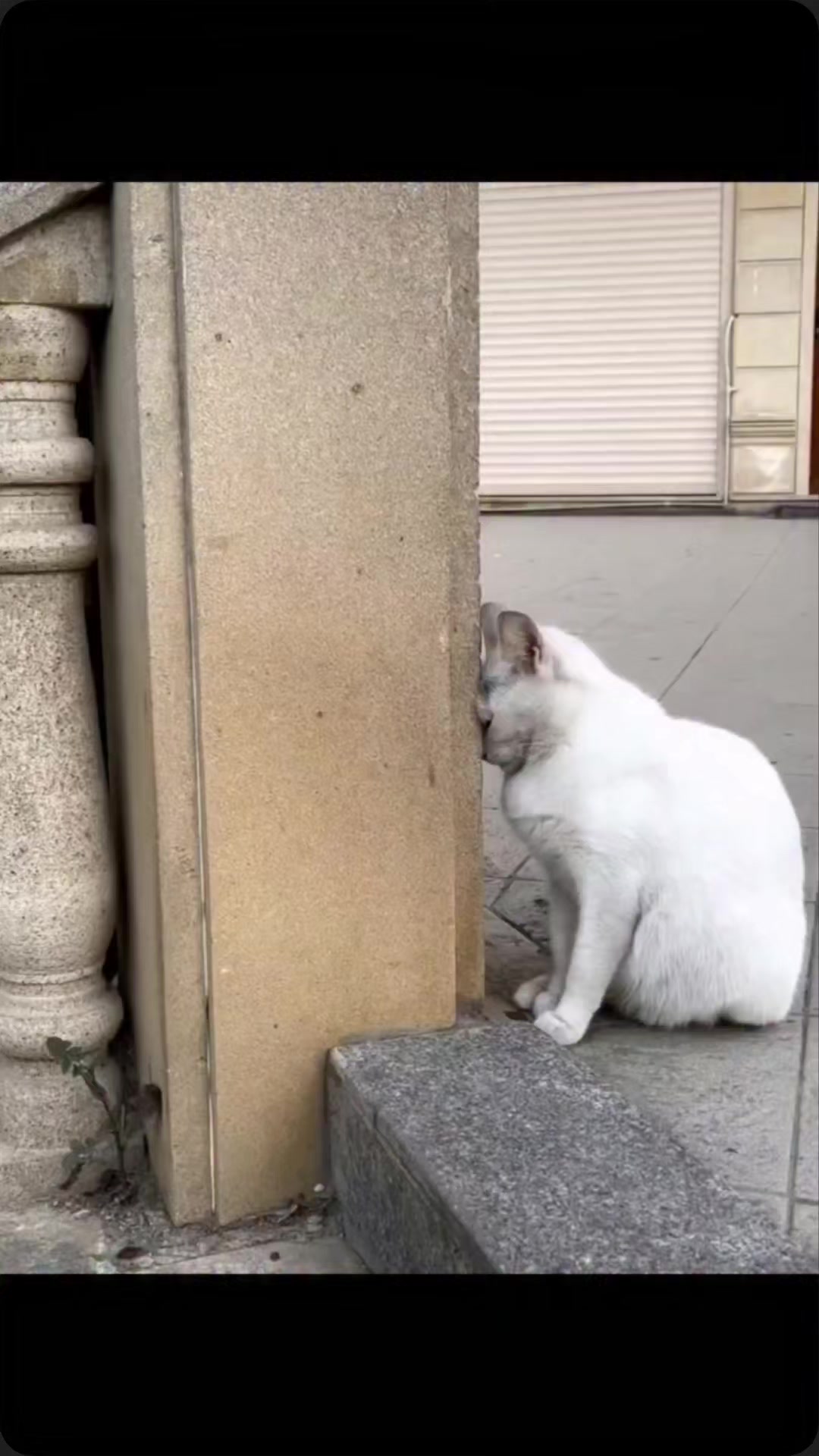 @𝓝𝓪𝓽𝓪_𝓔𝓱𝓶𝓮𝓭𝓸𝓿𝓪