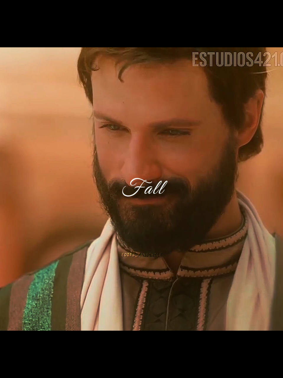 @edits_fanschile