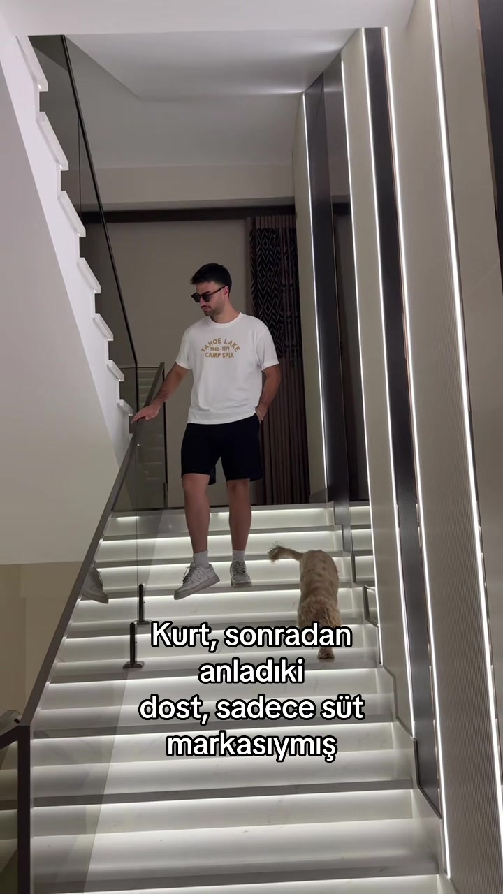 @umut