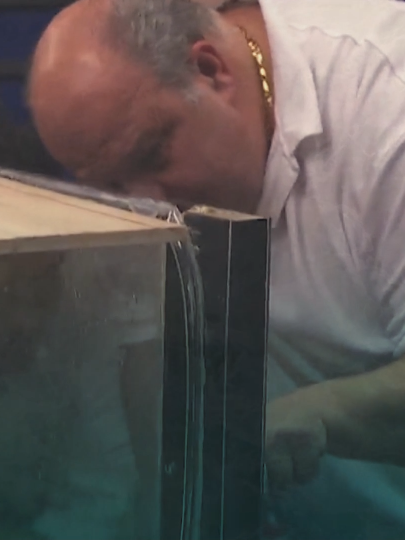 @Cake Boss