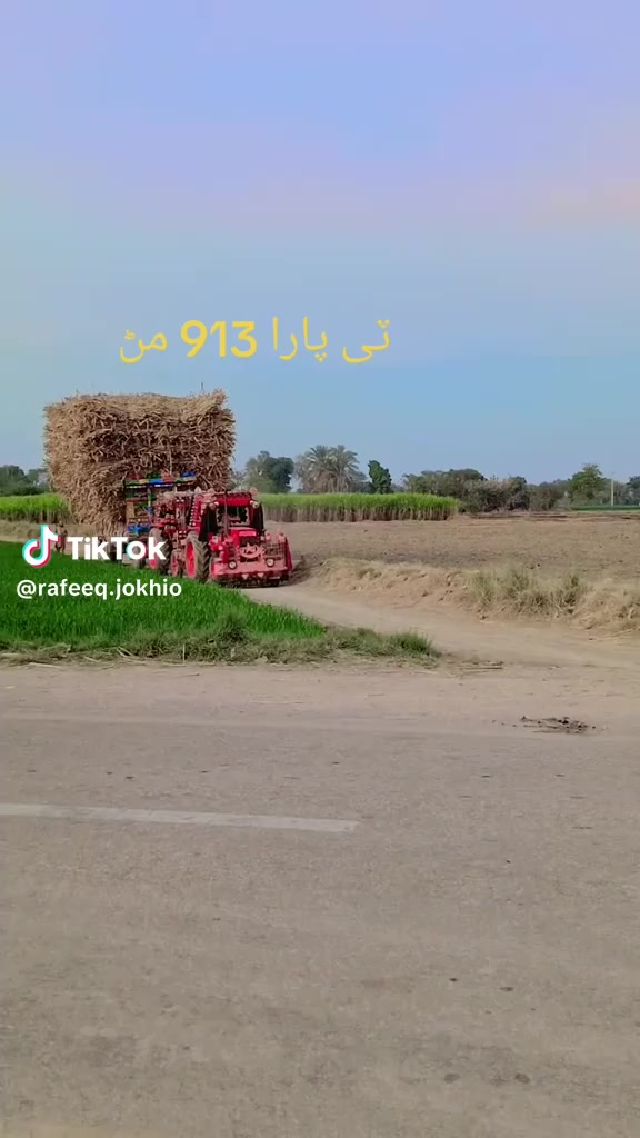 @zardari