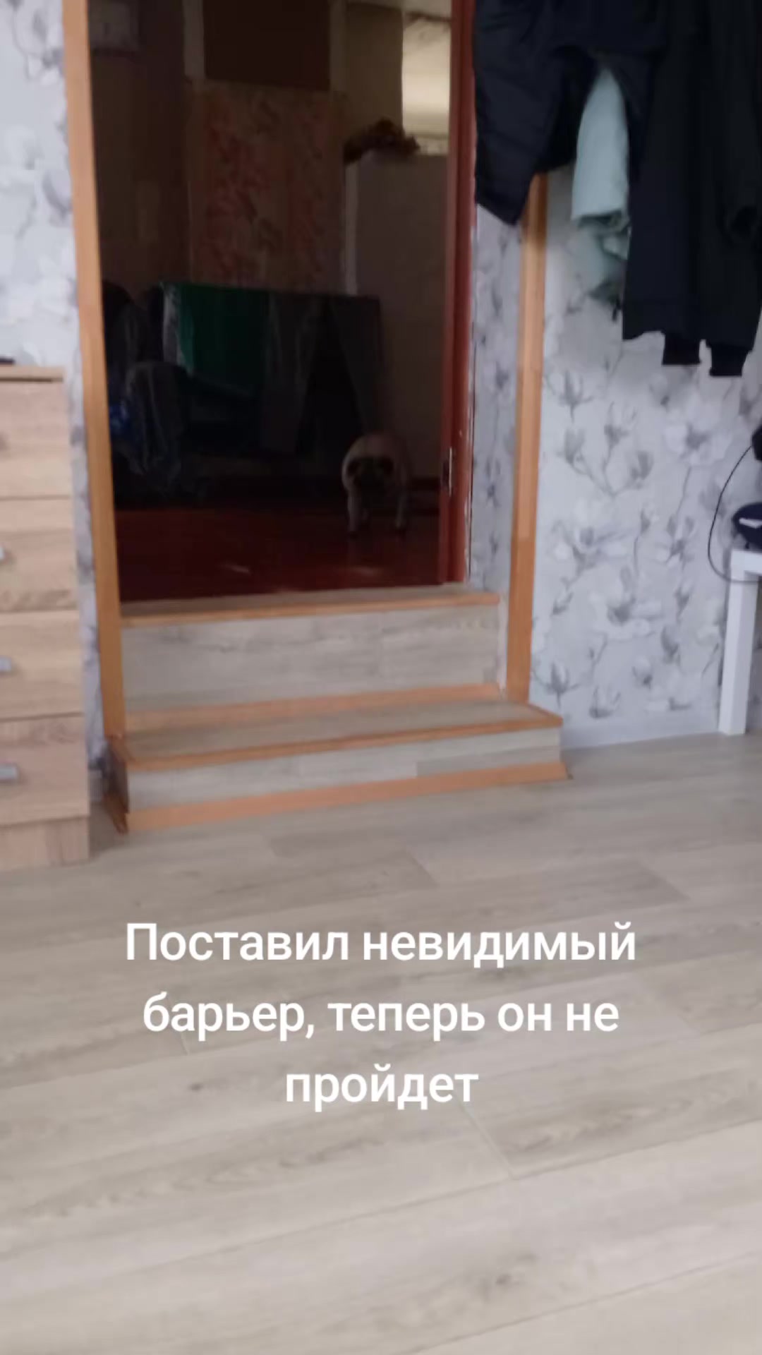 @tg: SamMops76