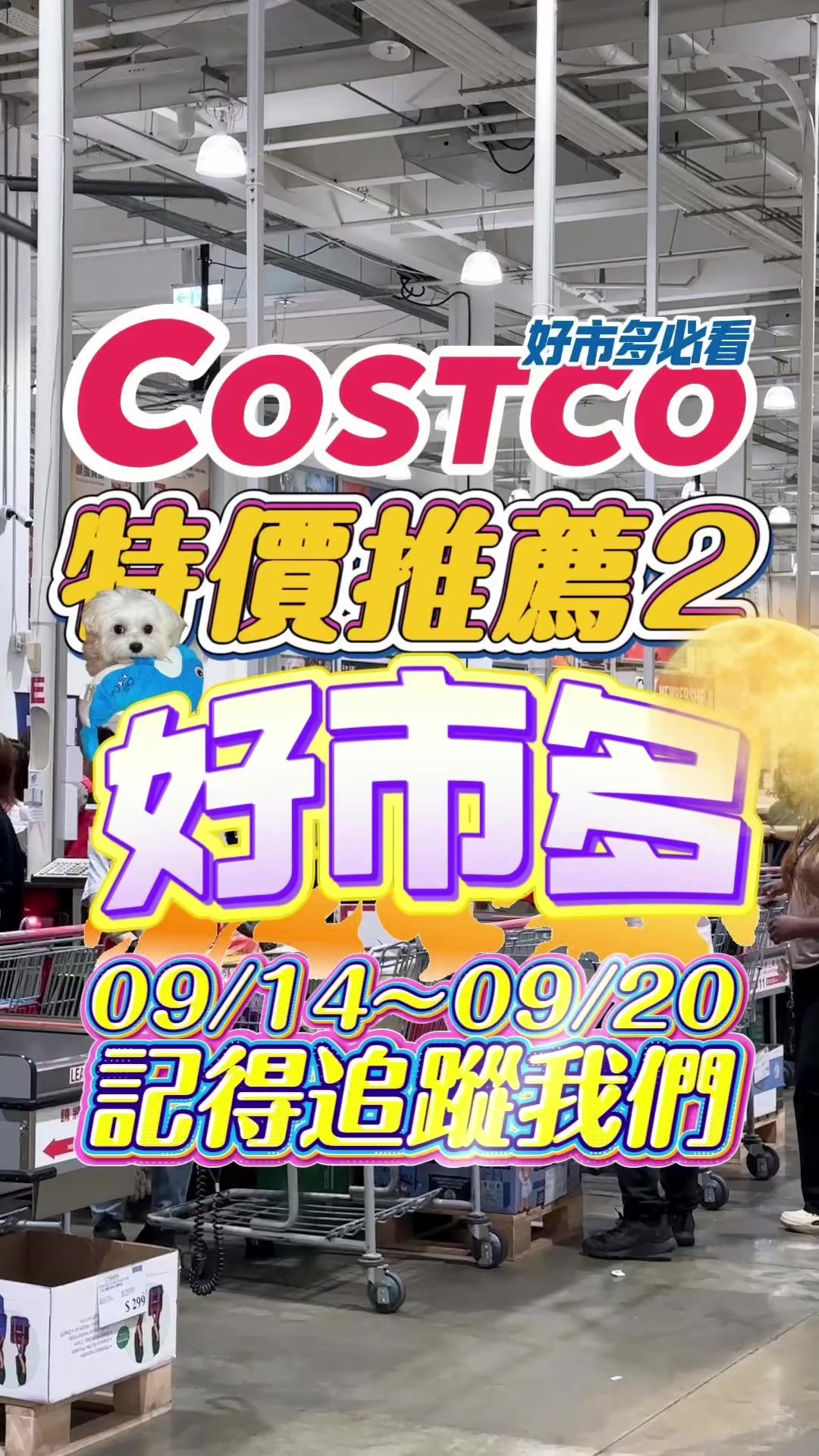 @Youtube搜尋🔍可可酒精