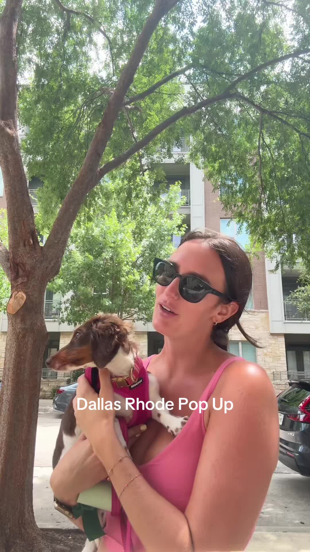 @dallasdogwalker