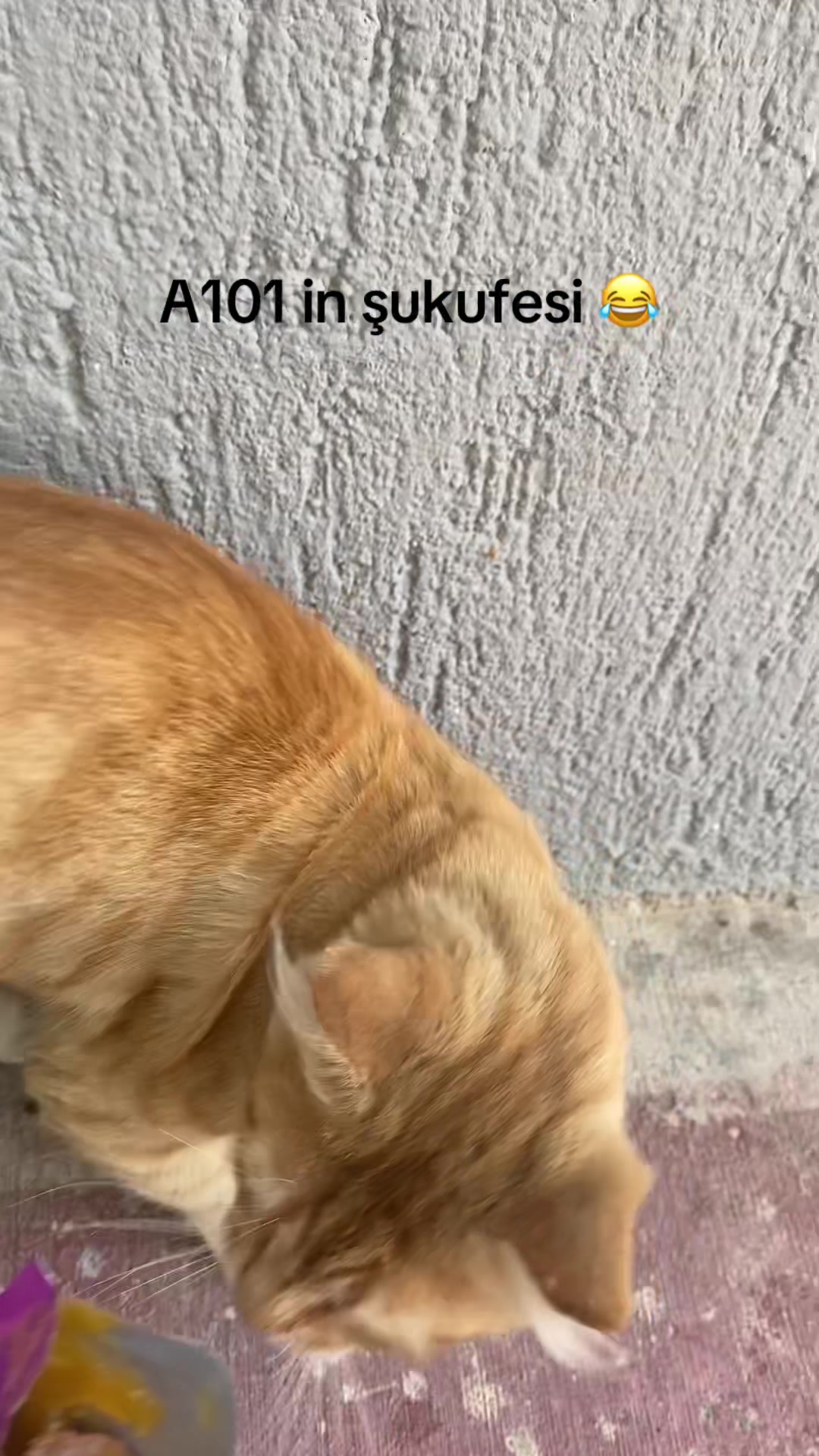 @🇹🇷İzmirli35🇹🇷🥰🥰🥰