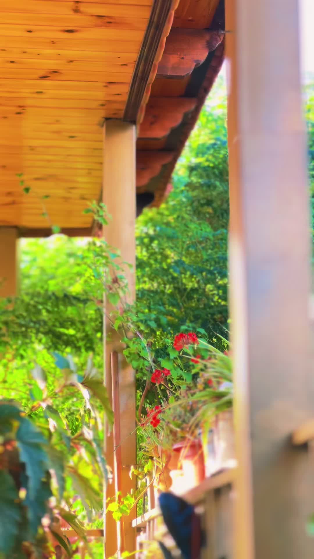 @باقة حُب ❤️💐🦋