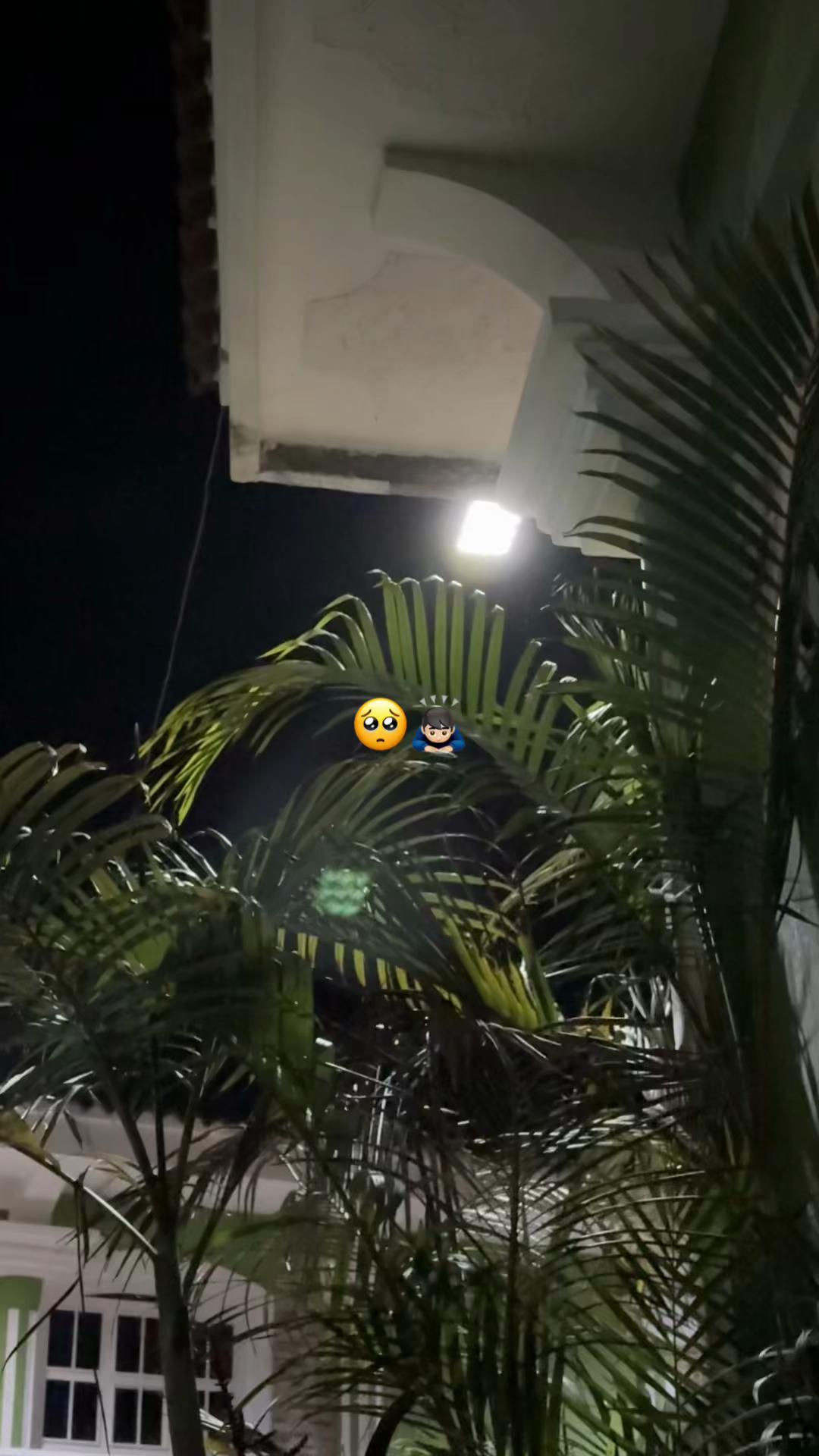 @Ansony LR👑🚀
