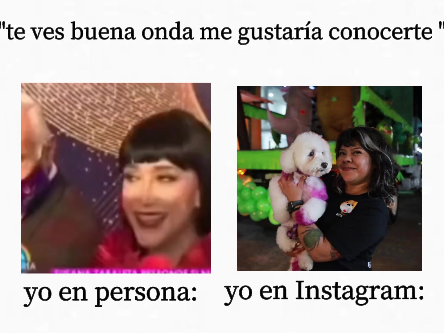 @erika