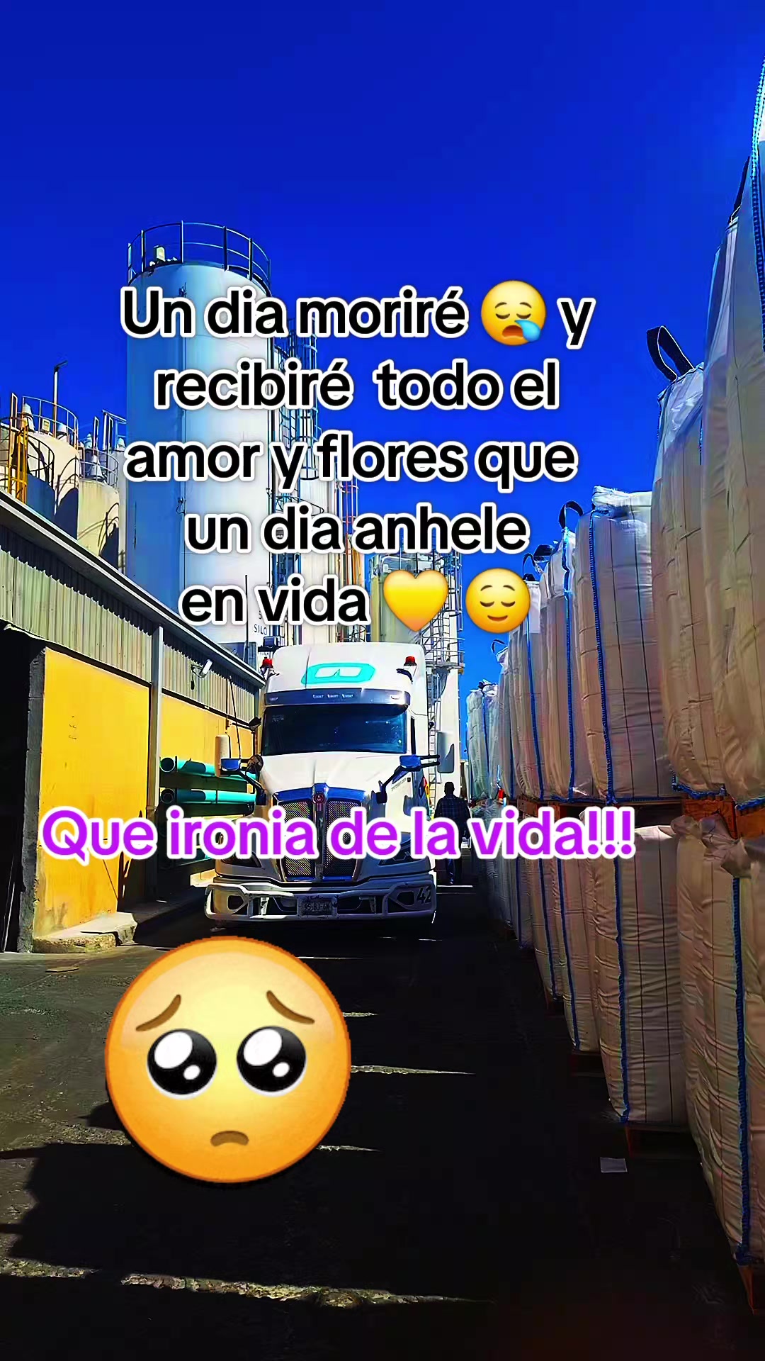 @🦋juanita Alvarado🦋