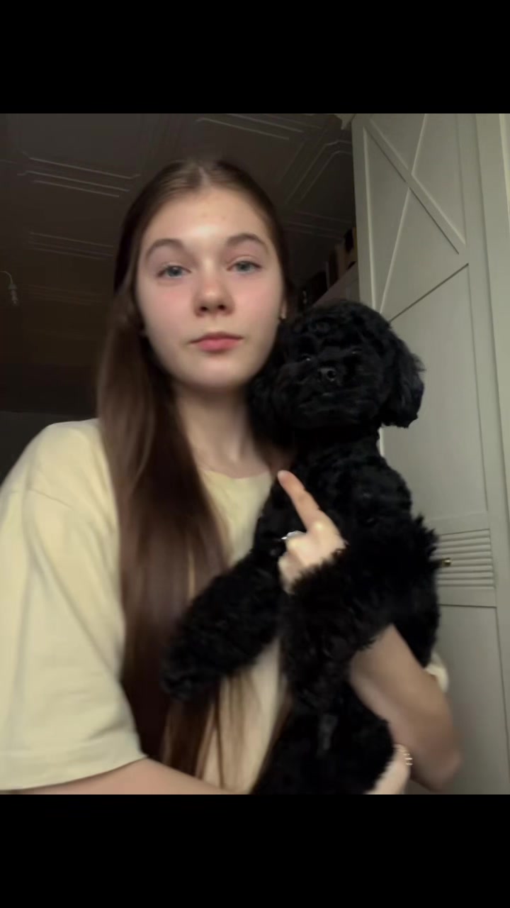 @vetka.vi