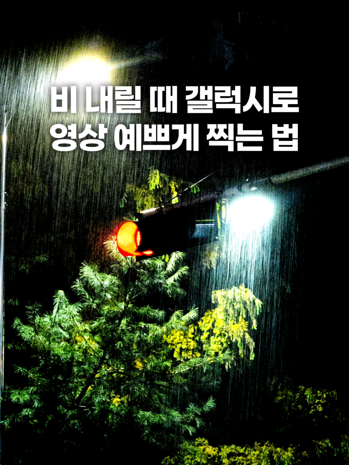@주니웨어 주니