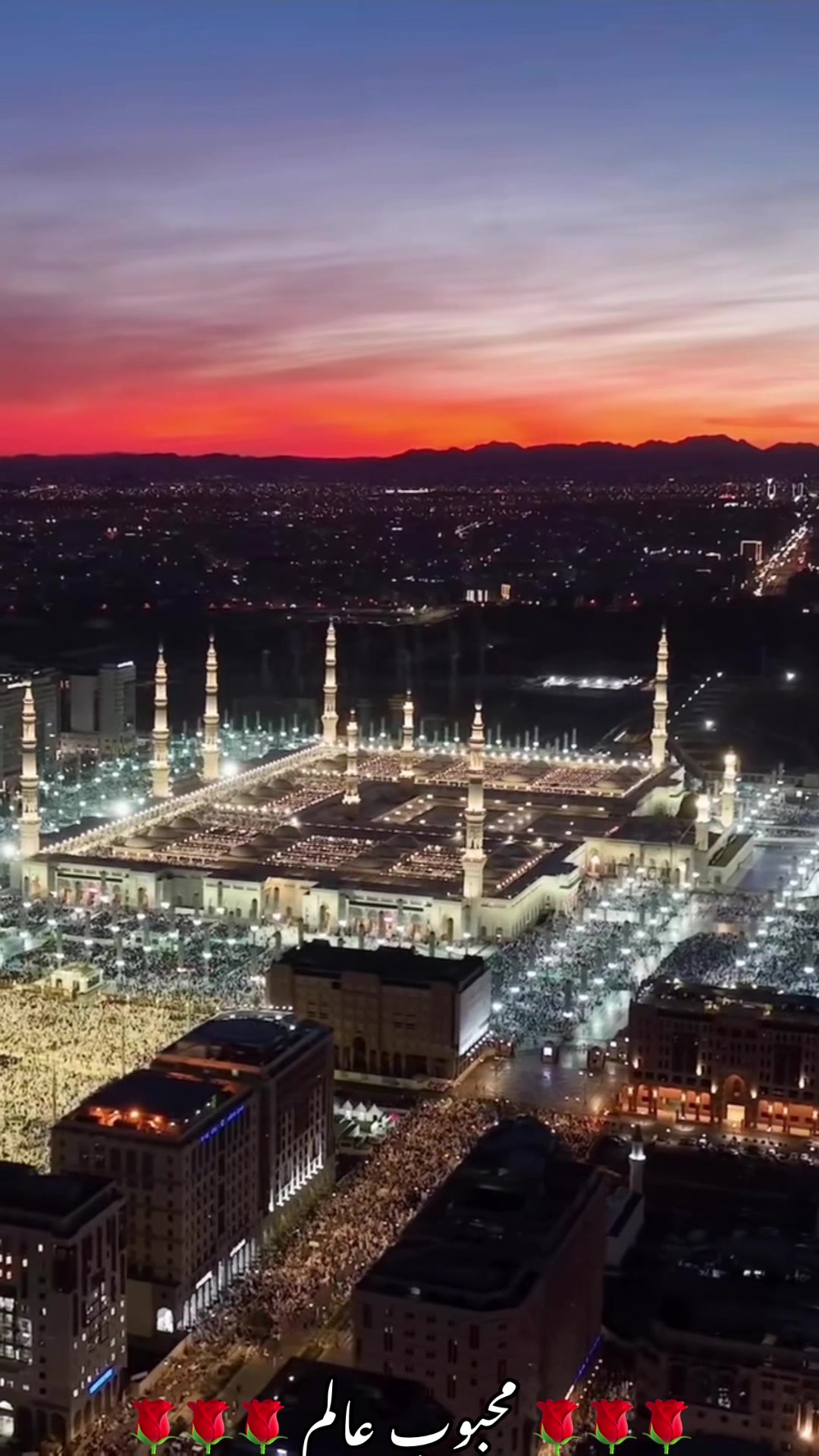@محبوب عالم
