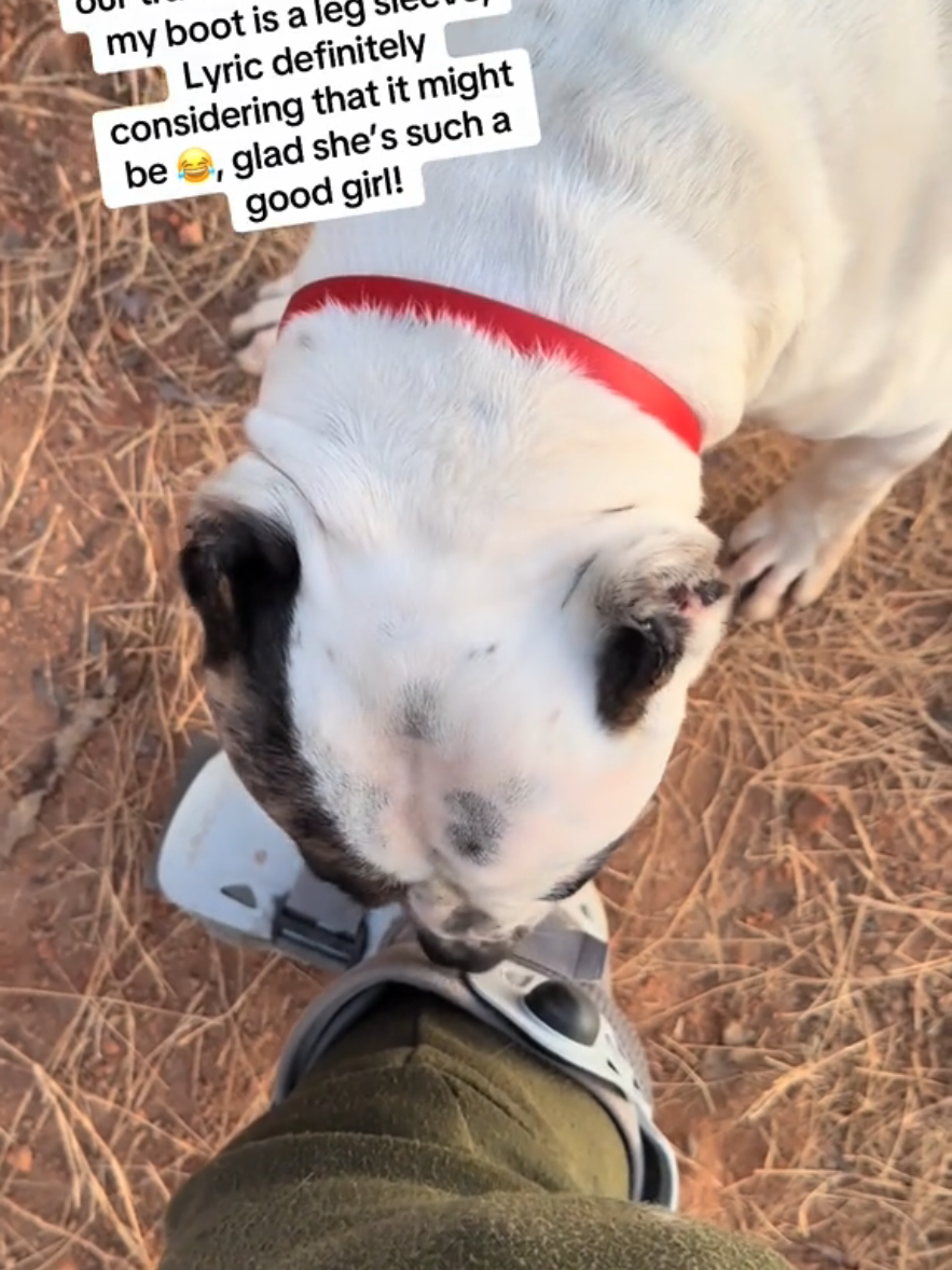@Laci.Unleashed