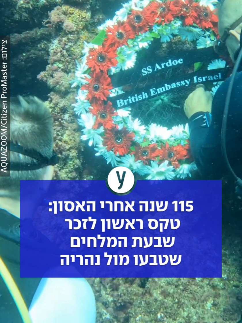 @ynet