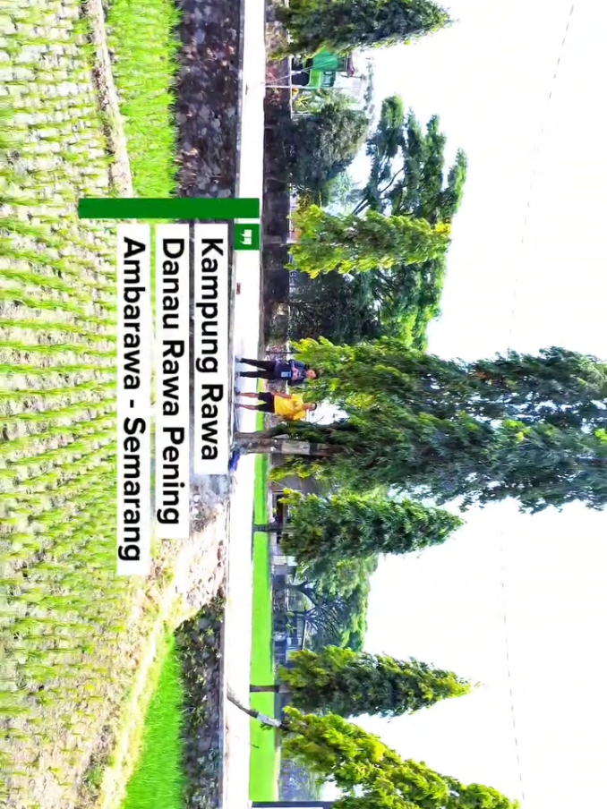@Nasrullah