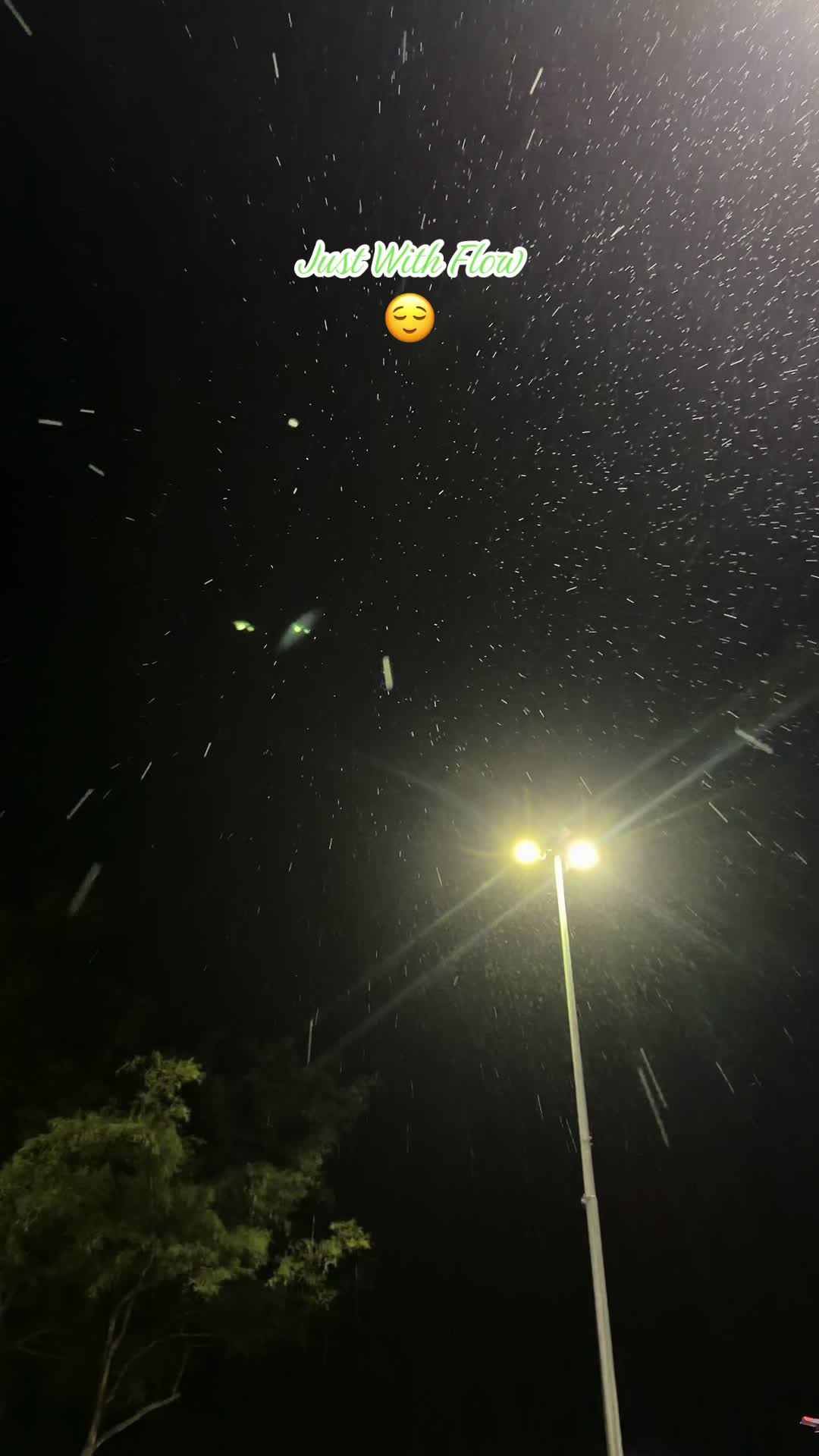 @YMUHcTEL💛🖤🕊️😇