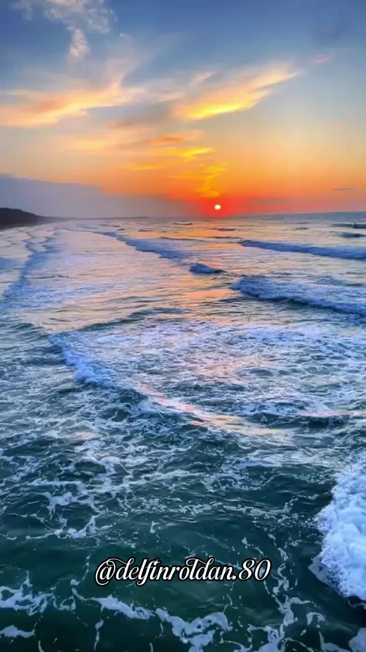 @Delfín🇪🇨