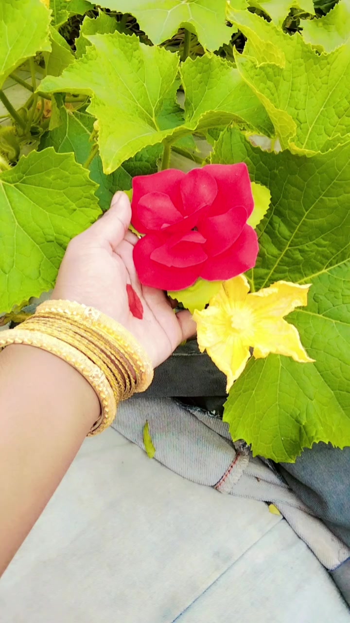 @URME...RR..5697