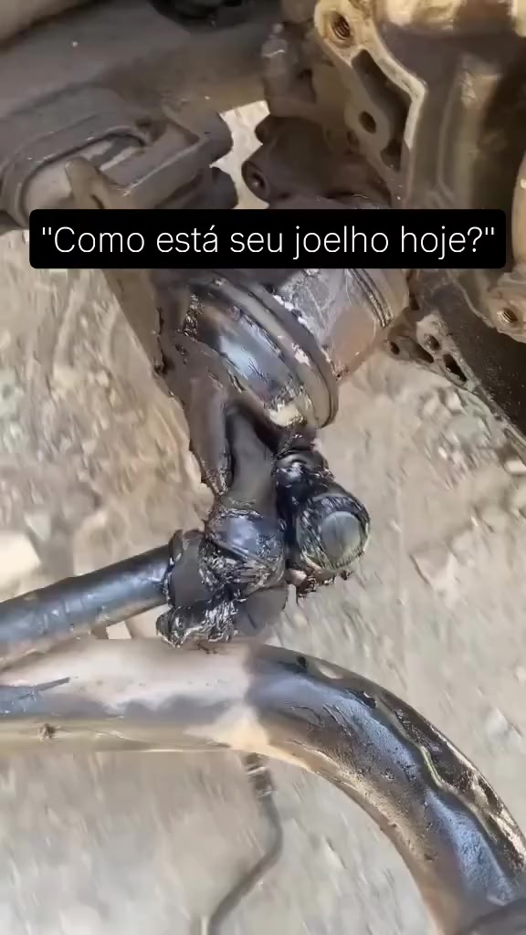 @jiu-jitsu 4 life Brasil