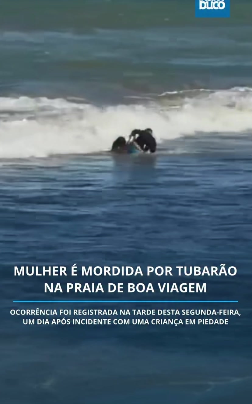 @Curioso