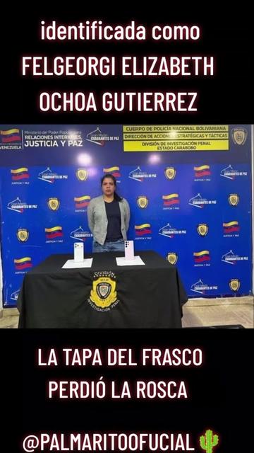 @PALMARITOOFICIAL 🌵