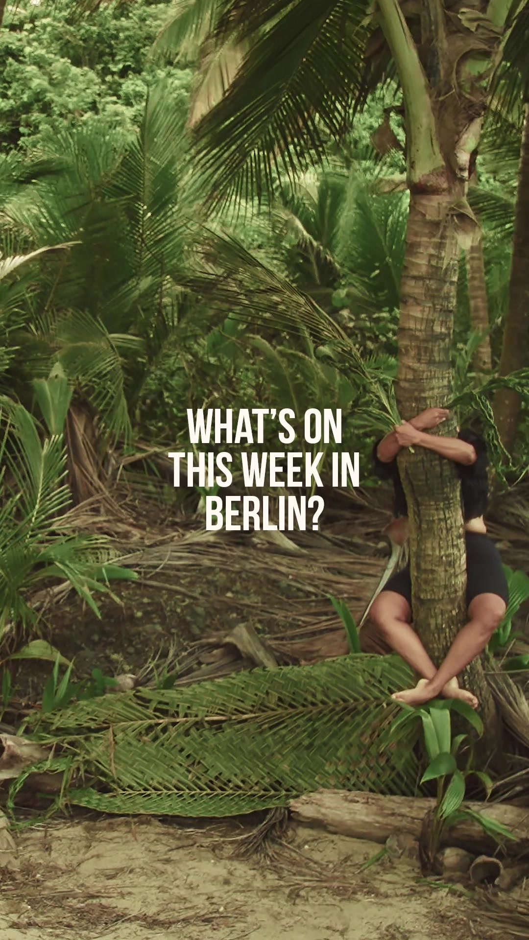 @Berlin Art Link Magazine