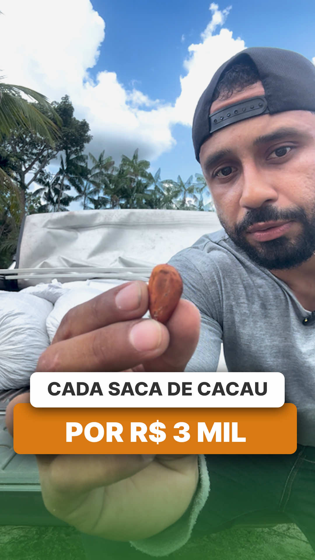@ViveiroProMudas
