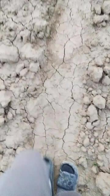 @فيصل 🤔