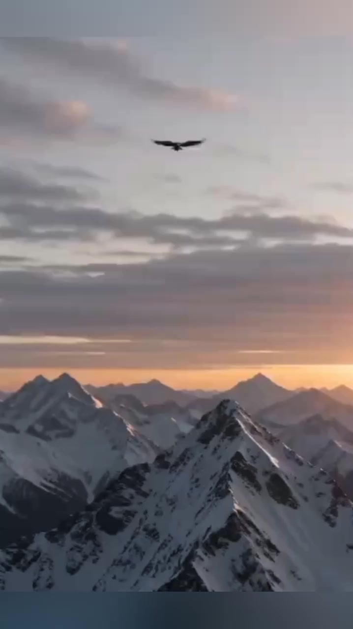 @kreemshaikh
