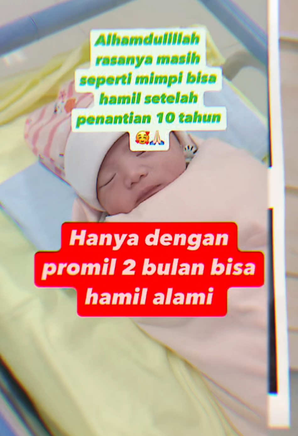 @promilholistik