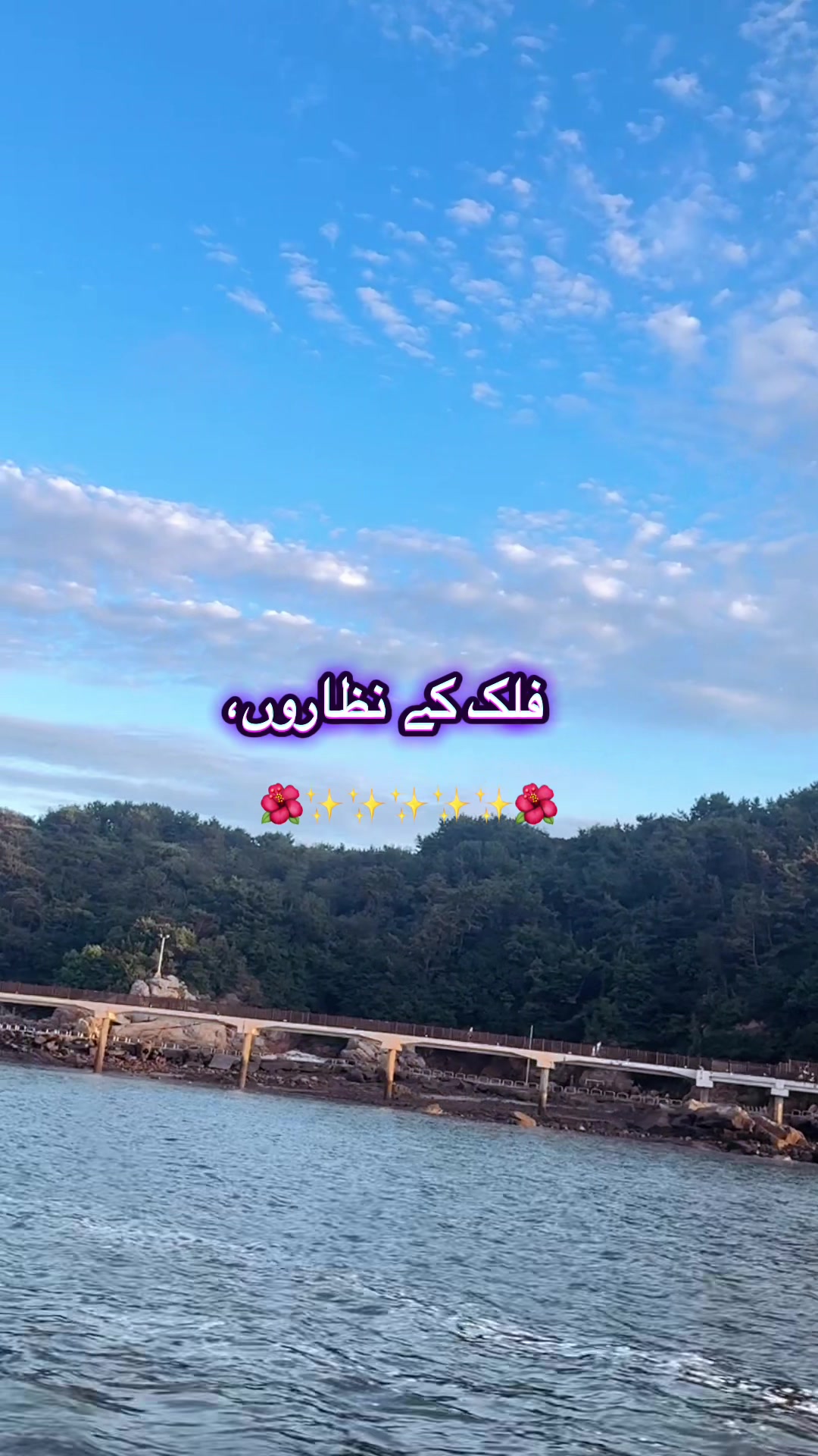 @shaista in korea