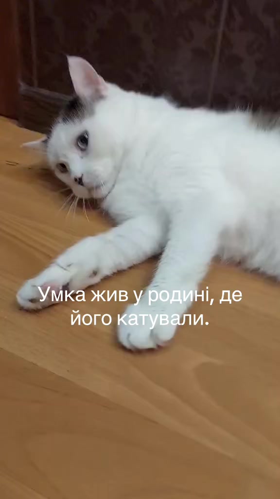 @Алиса