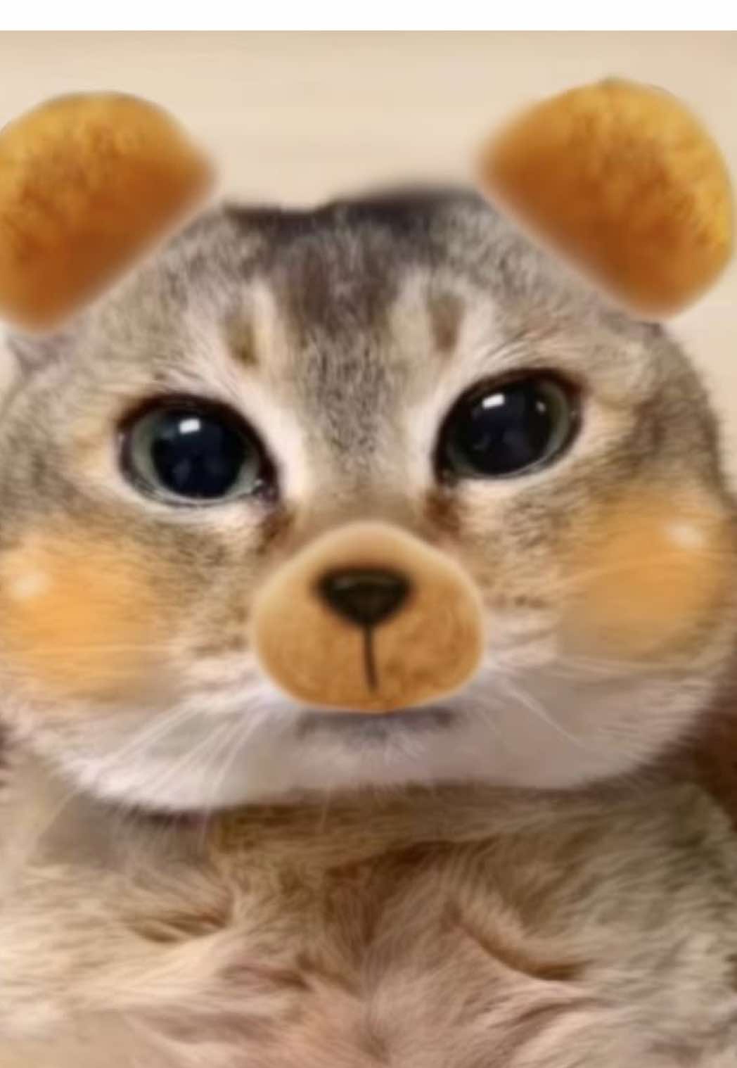 @cottagecat28