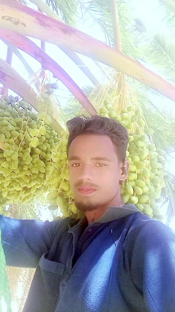 @MD al Amin howlader